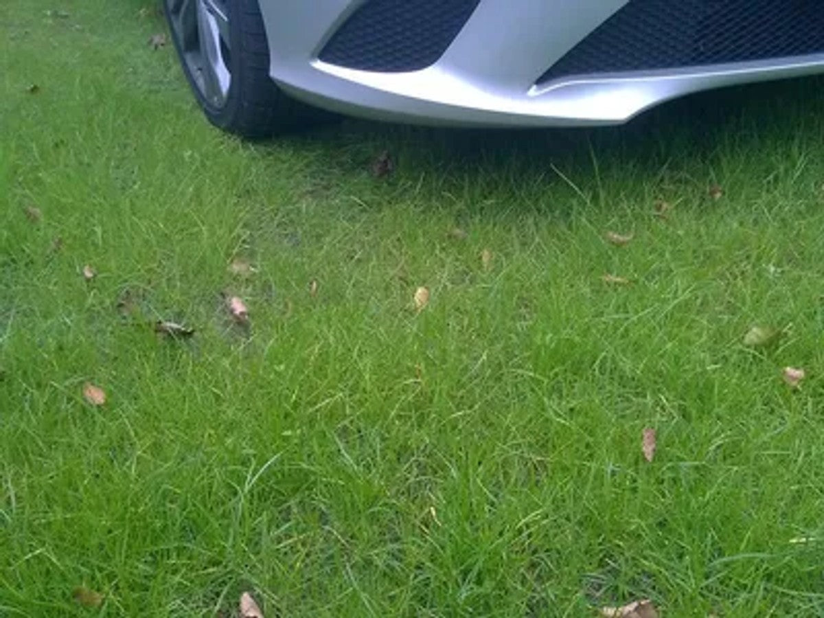 A grass reinforcement grid driveway surrounded by green planting, demonstrating a permeable and eco-friendly surface.