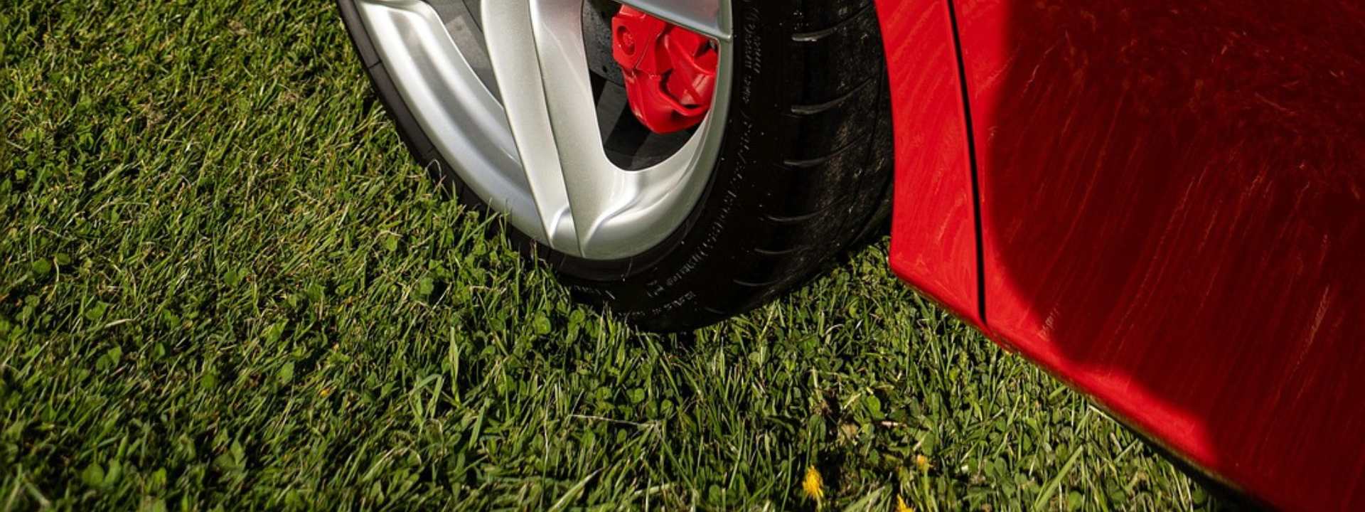 StableGRASS - Ideal for garden lawns & pathways