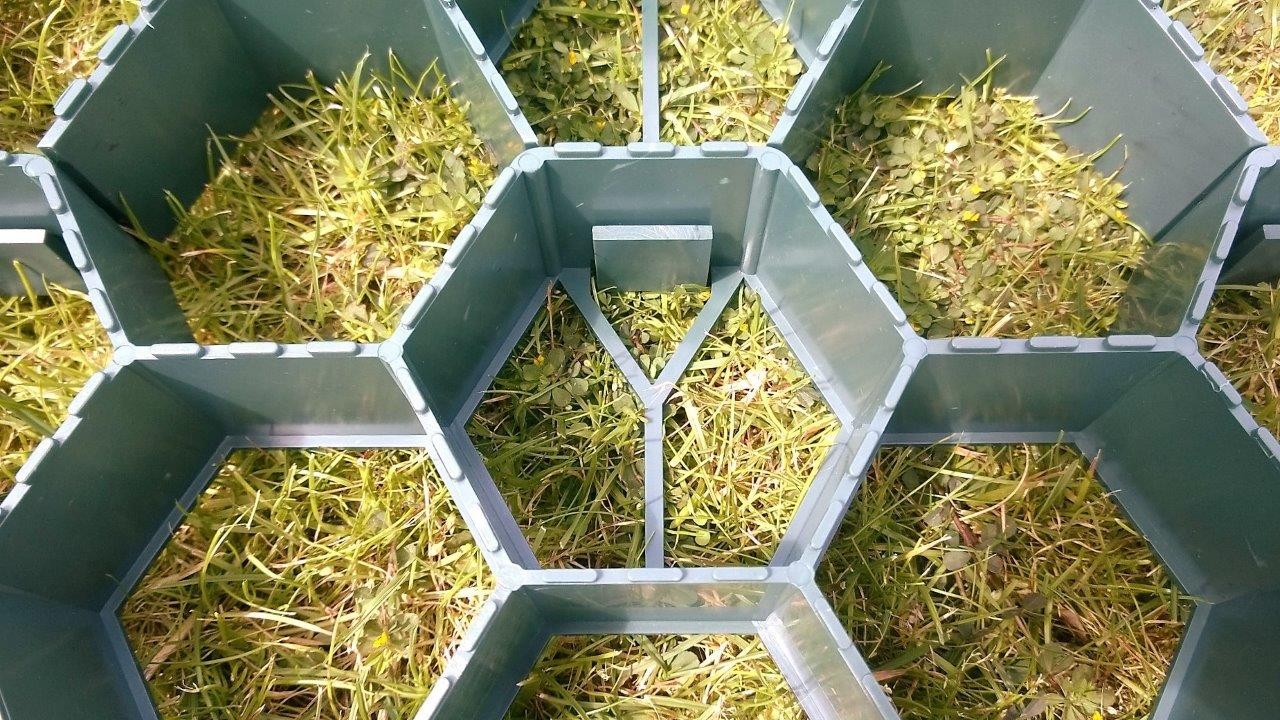 StableGRASS - Ideal for garden lawns & pathways